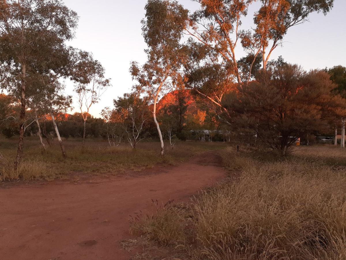 Squeakywindmill Boutique Tent B&B Alice Springs Eksteriør bilde